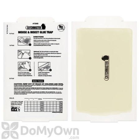 Catchmaster 72MB Spider & Insect Glue Traps