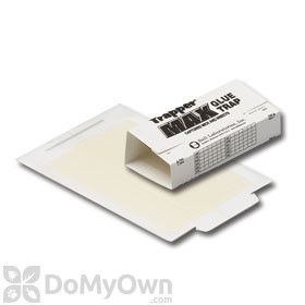 Trapper Max Glue Boards (72-Count)