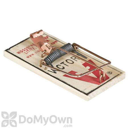 Victor Original Mouse Trap (12-Pack)